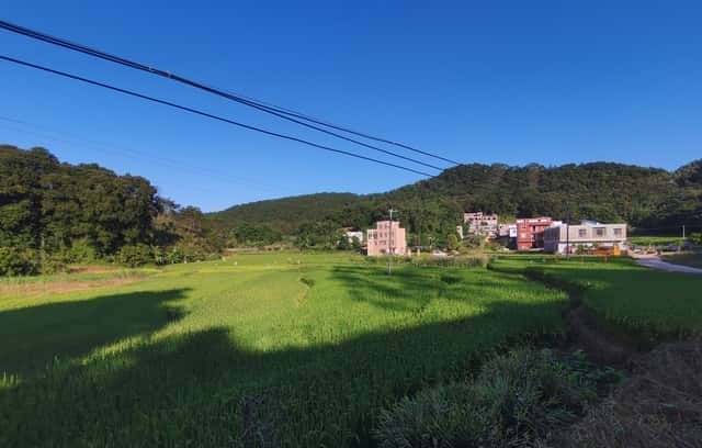 72年修水库，一个成分不好的女人为了给我送饭，摔伤了脚