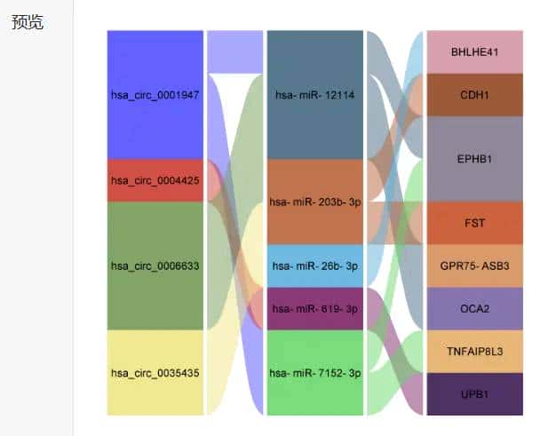 冲积图（alluvial  plot）展示竞争性内源RNA（ceRNA）网络