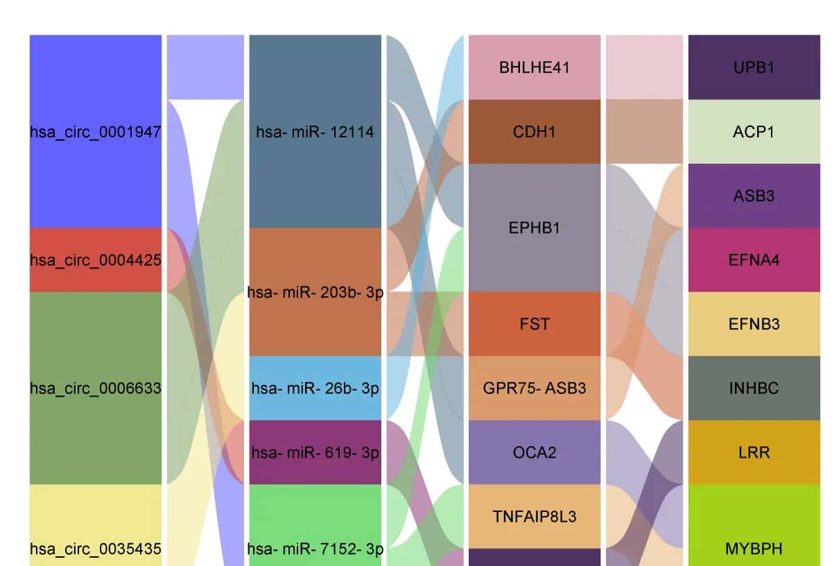冲积图（alluvial  plot）展示竞争性内源RNA（ceRNA）网络