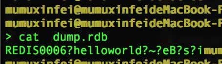 web实战开发--利用redis漏洞 Hacker对方机器的