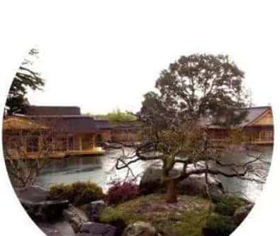 ORACLE之父，埃里森吊炸天的传奇人生