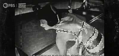 被全中国封杀、唾骂，她脱的衣服，今天终于穿回去了…