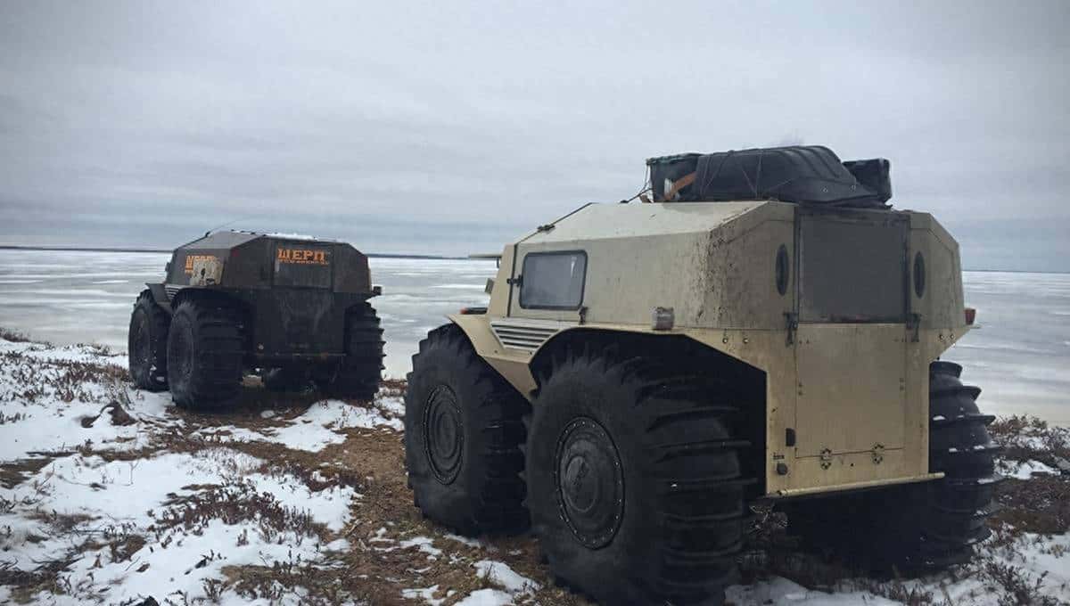 野外生存1000小时！俄军北极全地形车性能强悍 民用版曾引发轰动