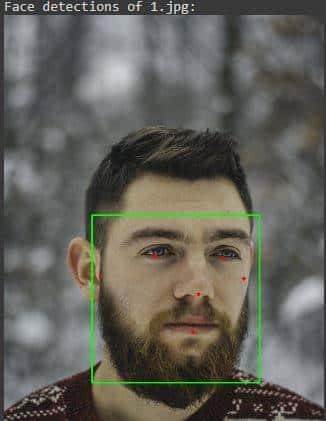 一文带你深入了解Python+MediaPipe实现检测人脸的功能