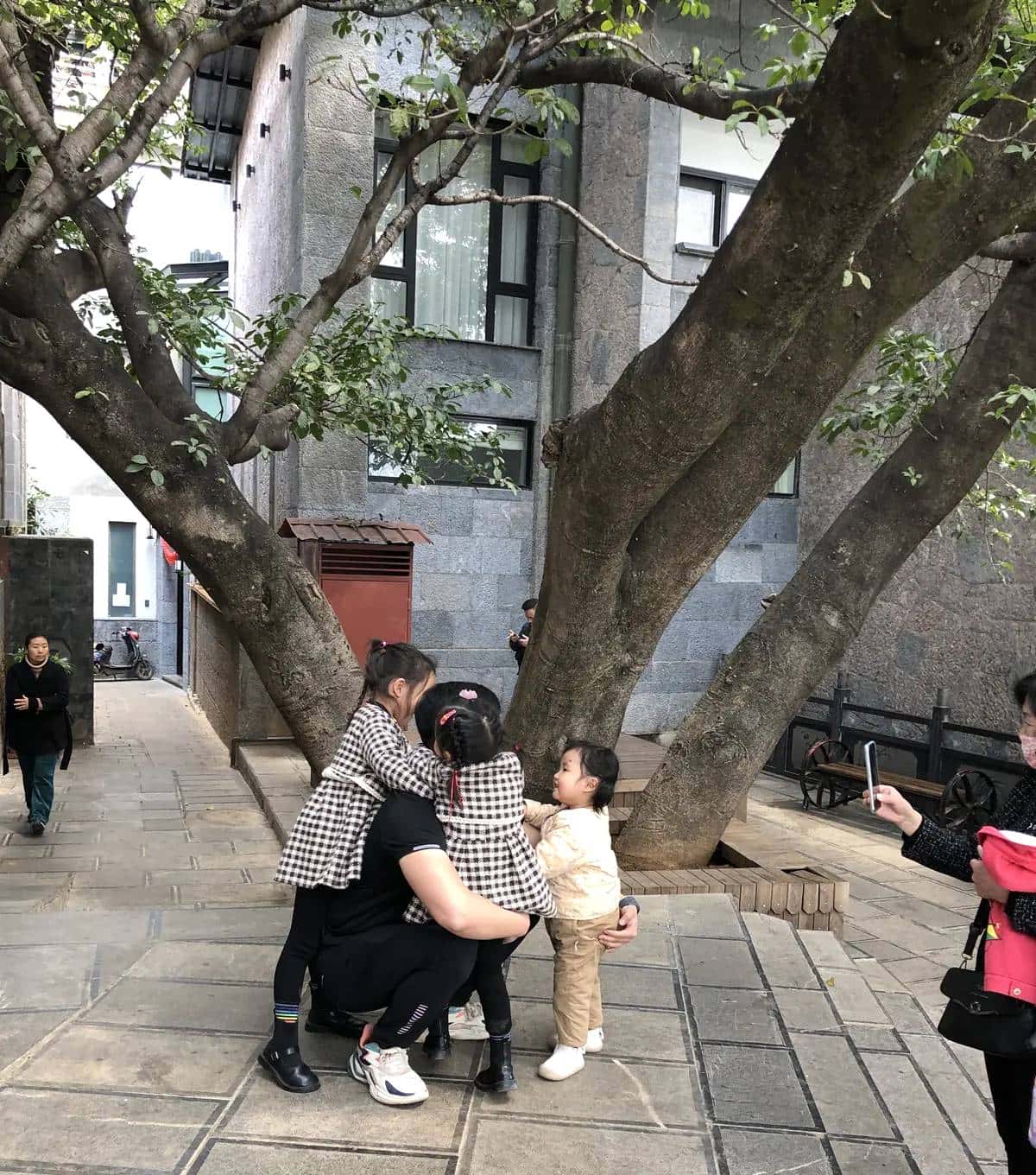 滇行记之大理挖色小普陀、双廊（下）