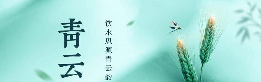 芳华正茂 盘龙如歌 | 青龙撒梅人：传承“根”与“魂”