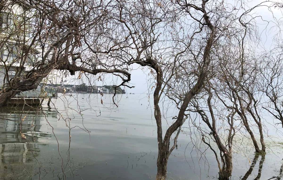 滇行记之大理挖色小普陀、双廊（下）