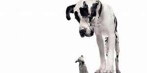 一小时背一遍:考研考纲词汇音频背诵版8(福利,大家都收藏了)