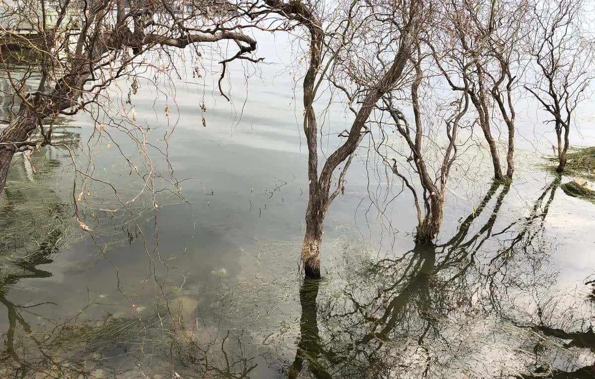 滇行记之大理挖色小普陀、双廊（下）