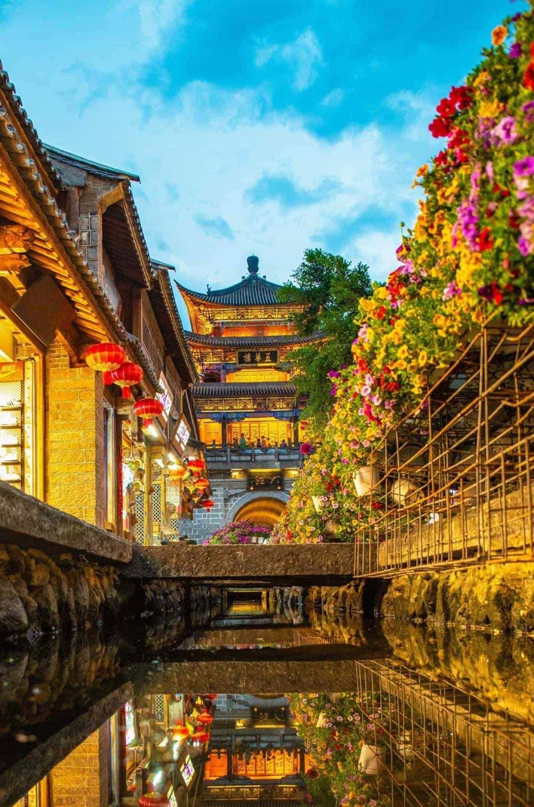 宋词300首(39)清平乐·候蛩凄断