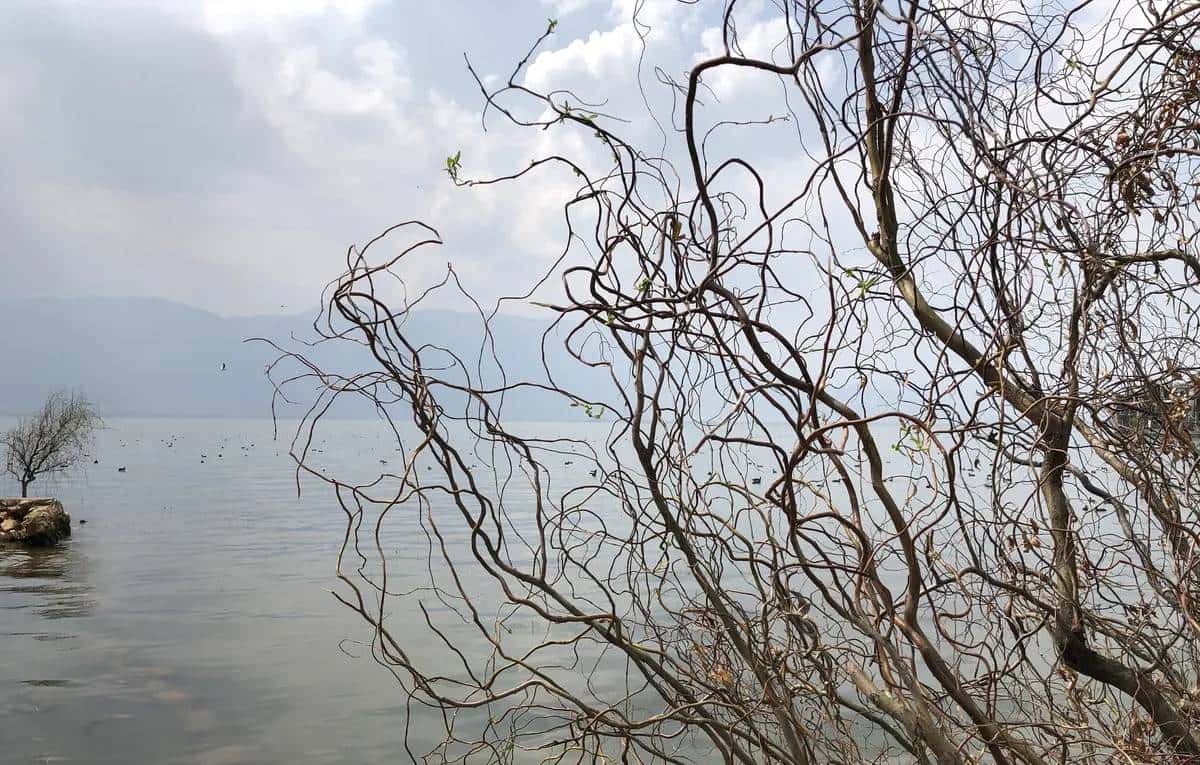 滇行记之大理挖色小普陀、双廊（下）