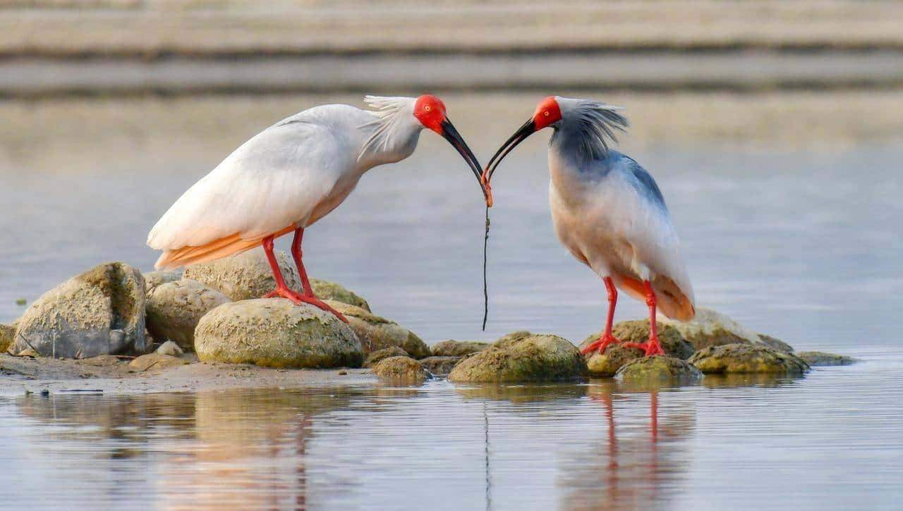 二进制英语记单词，就是这样轻松101