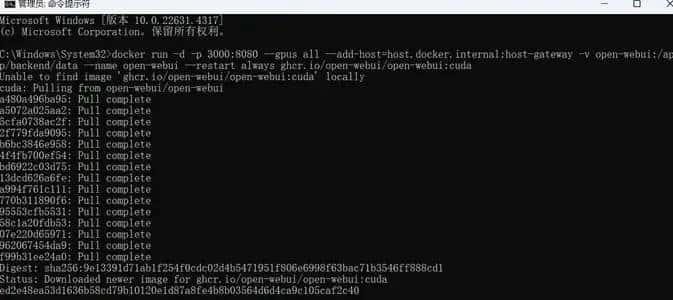 东北街溜子--手把手帮你本地化部署ollama+webui来部署大模型