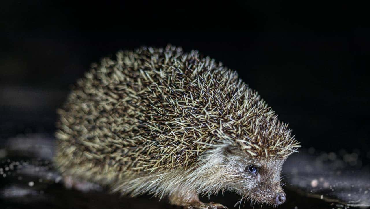 二进制英语记单词，就是这样轻松101