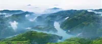 笑死！哈咪瓜也太大了吧！全程高能，网友脑洞比我家的漏勺还太！