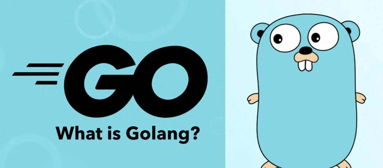 Go语言体系：语言介绍篇