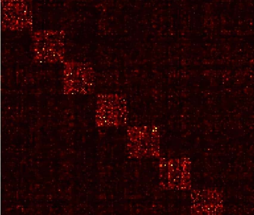 一文读懂 12种卷积方法