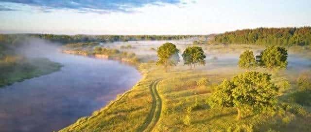 笑死！哈咪瓜也太大了吧！全程高能，网友脑洞比我家的漏勺还太！
