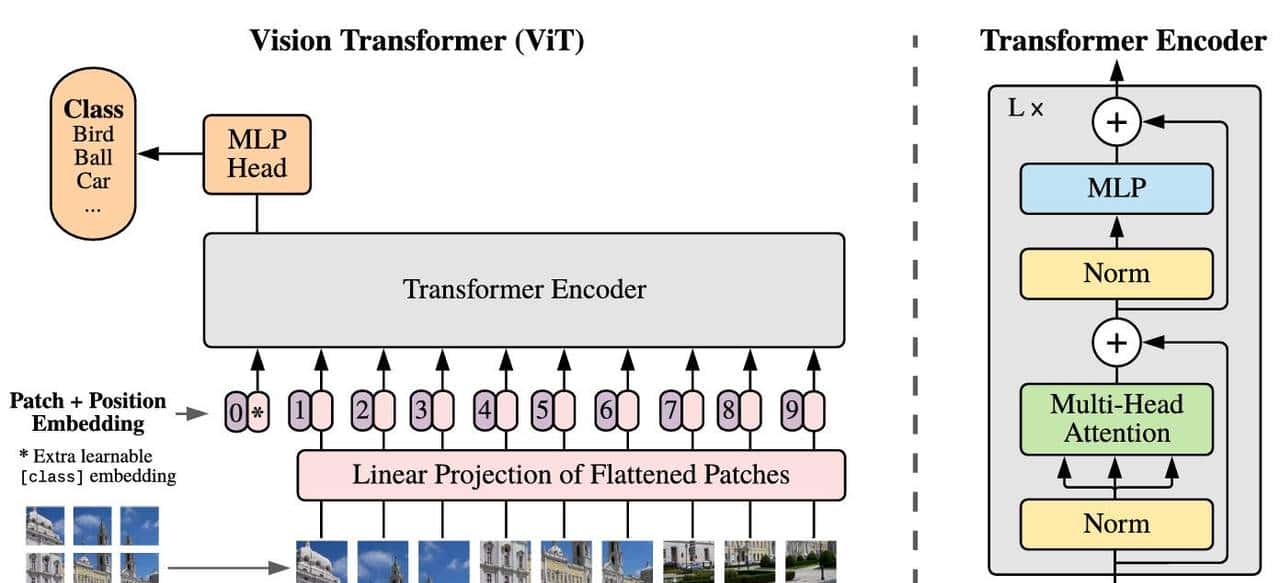CV技术：深入探究 Vision Transformer (ViT)