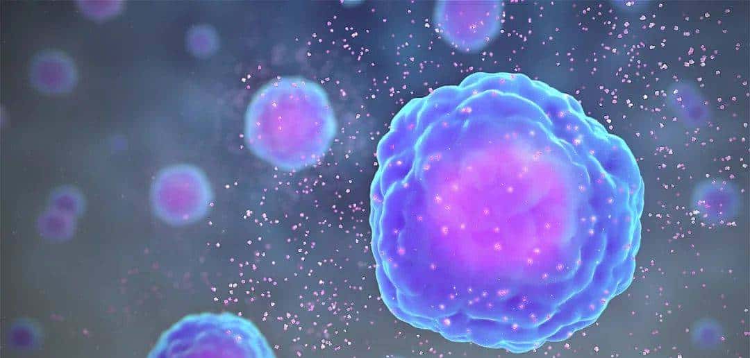 人人学懂免疫学：第二十二期 细胞因子与Th1细胞