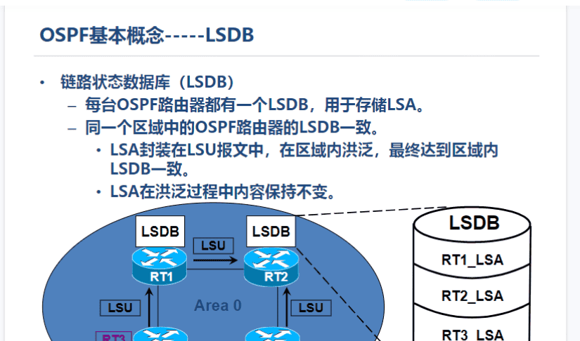 一阶段加二阶段