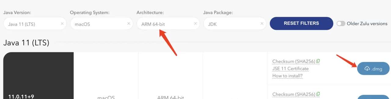 珠联壁合地设天造|M1 Mac os(Apple Silicon)基于vscode(arm64)配置搭建Java开发环境(集成web框架Springboot)
