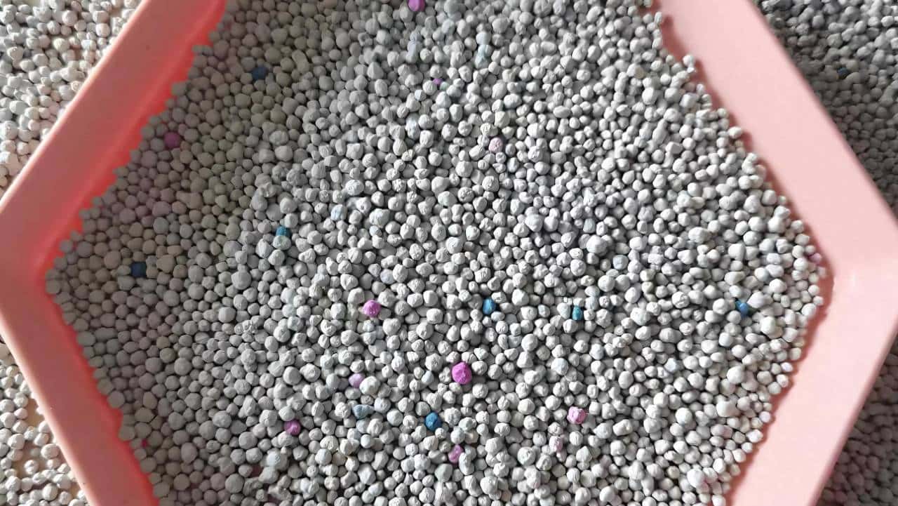 养喵多年才懂！膨润土和豆腐猫砂咋选？避开 3 个坑，清理省一半劲