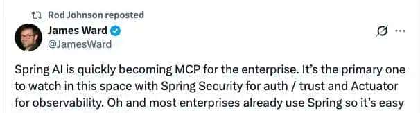 弃 Python 拥抱 JVM，Spring 之父 20 年后再造“革命性框架”：我从未如此确信一个新项目的必要性