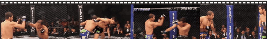 HAIC：提升多模态大模型的人类动作理解能力