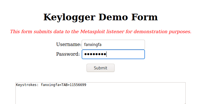 实训4 网络攻击者在kali Linux中是如何获取你浏览器的键盘输入记录？