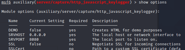 实训4 网络攻击者在kali Linux中是如何获取你浏览器的键盘输入记录？