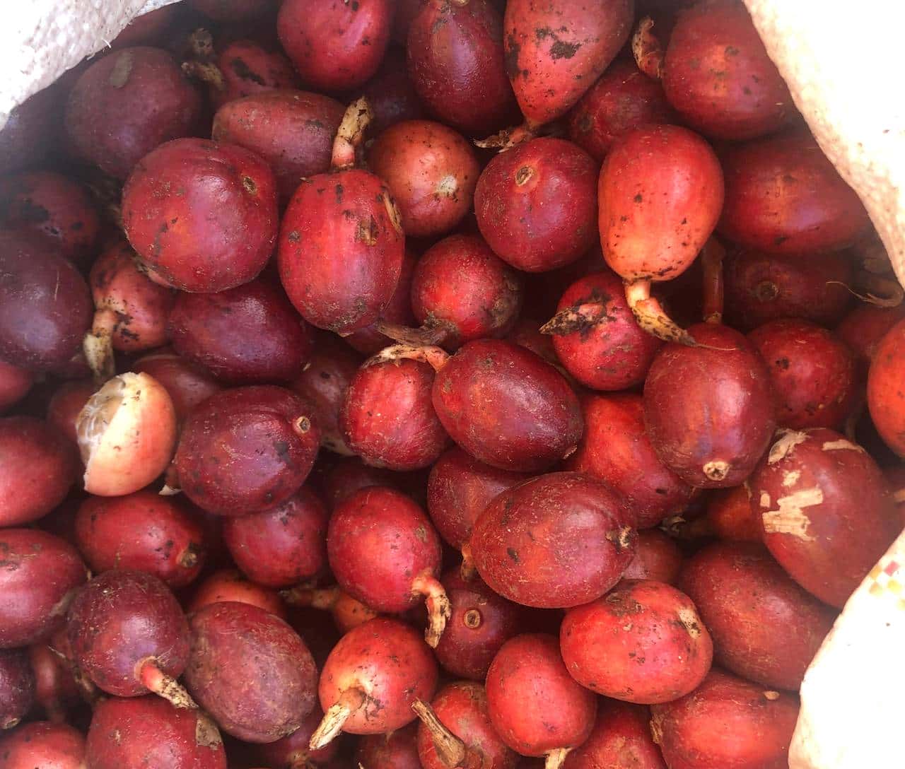 别再用错草果了!破壳VS整颗,这点搞不清楚,菜还怎么香?