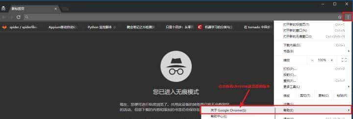 从零开始学python爬虫(七):selenium自动化测试框架的介绍