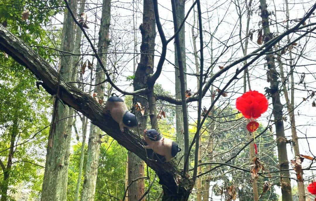 把咖啡馆开在“猪圈”,生意还越来越好,怎么回事?