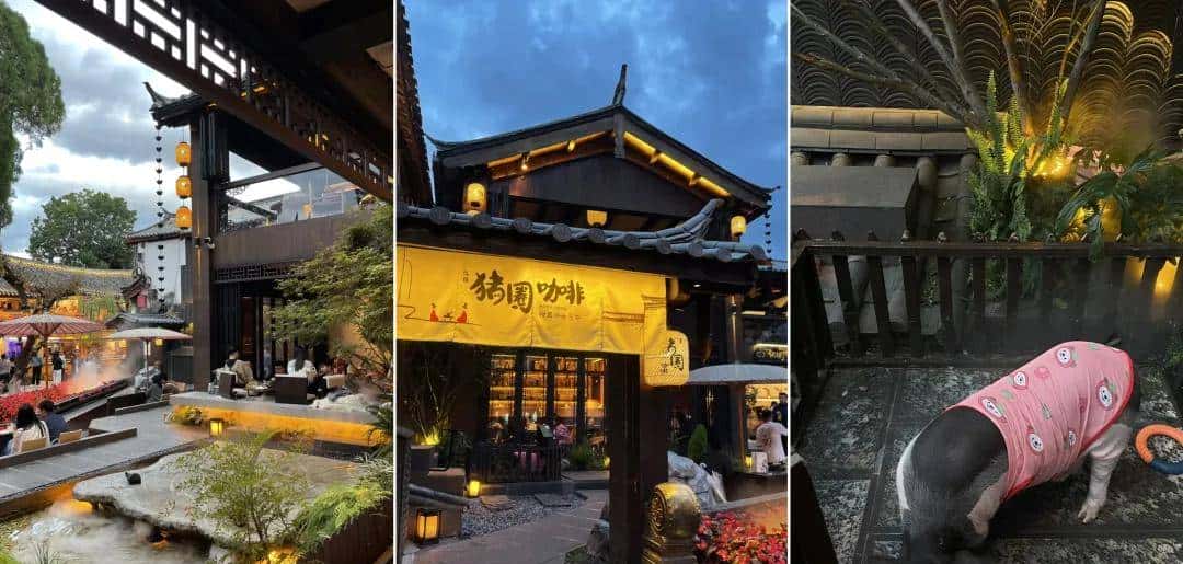 把咖啡馆开在“猪圈”,生意还越来越好,怎么回事?