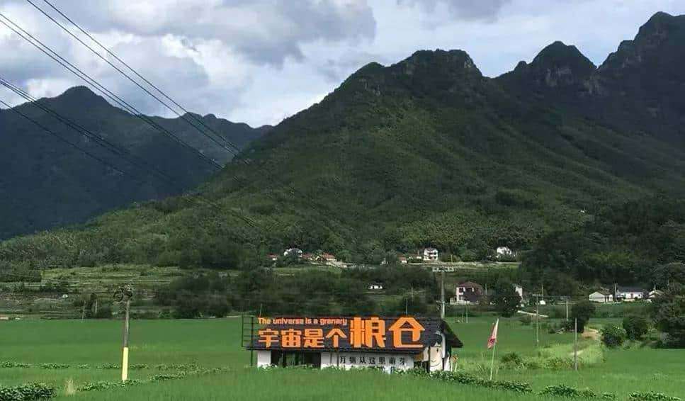 把咖啡馆开在“猪圈”,生意还越来越好,怎么回事?