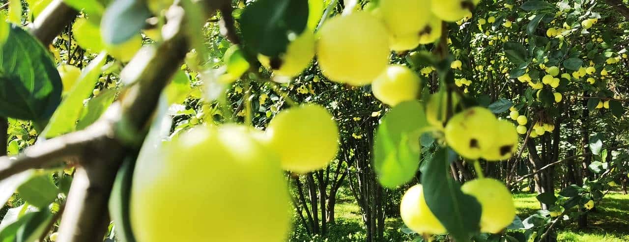 解决“写作没素材”问题不是等灵感，而是把生活当成挖素材宝库！