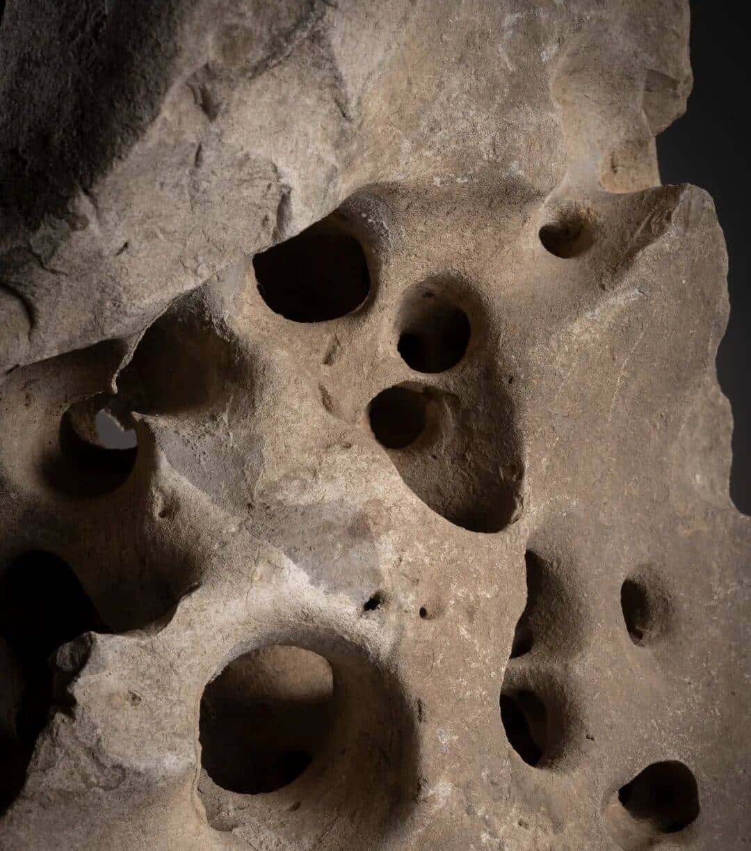 澄怀之境 天工清供——文房雅玩集珍丨中国嘉德2025秋拍