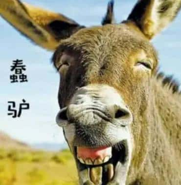 前端导出excel之使用exceljs + file-saver导出表格到excel