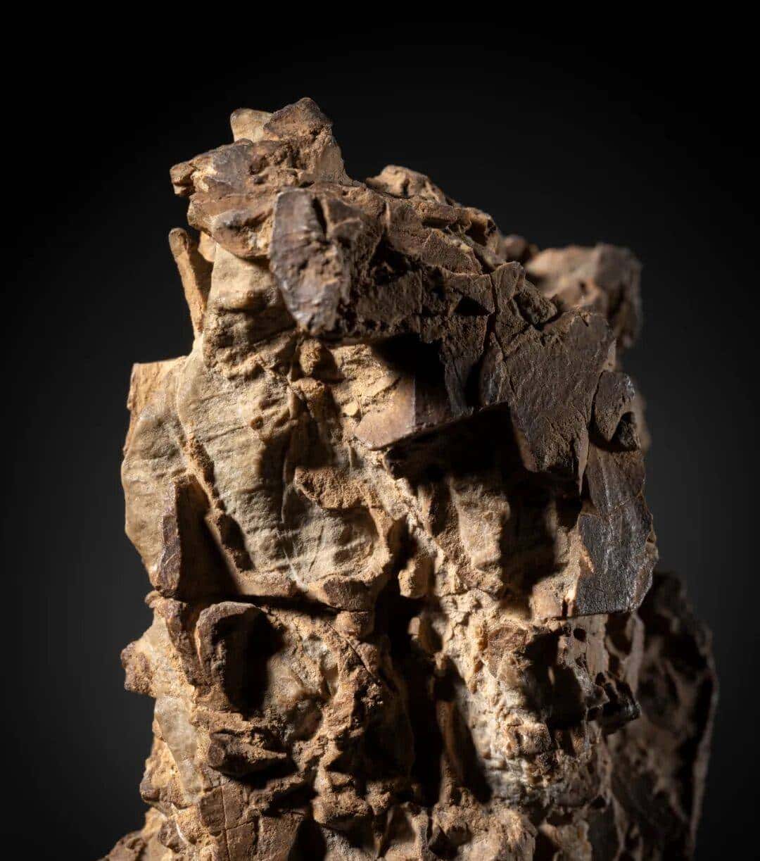 澄怀之境 天工清供——文房雅玩集珍丨中国嘉德2025秋拍