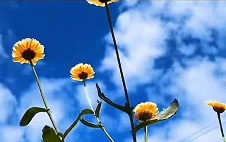 交换机基础知识之路由交换技术