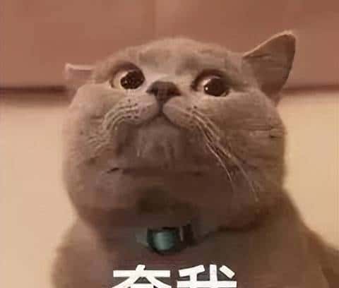 这几年，苹果和安卓在互抄的路上越走越远