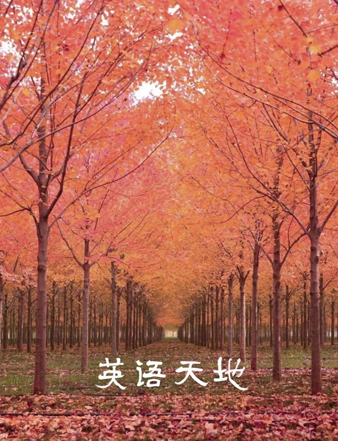 人教版(2019)高中英语选择性必修三第三单元测试卷