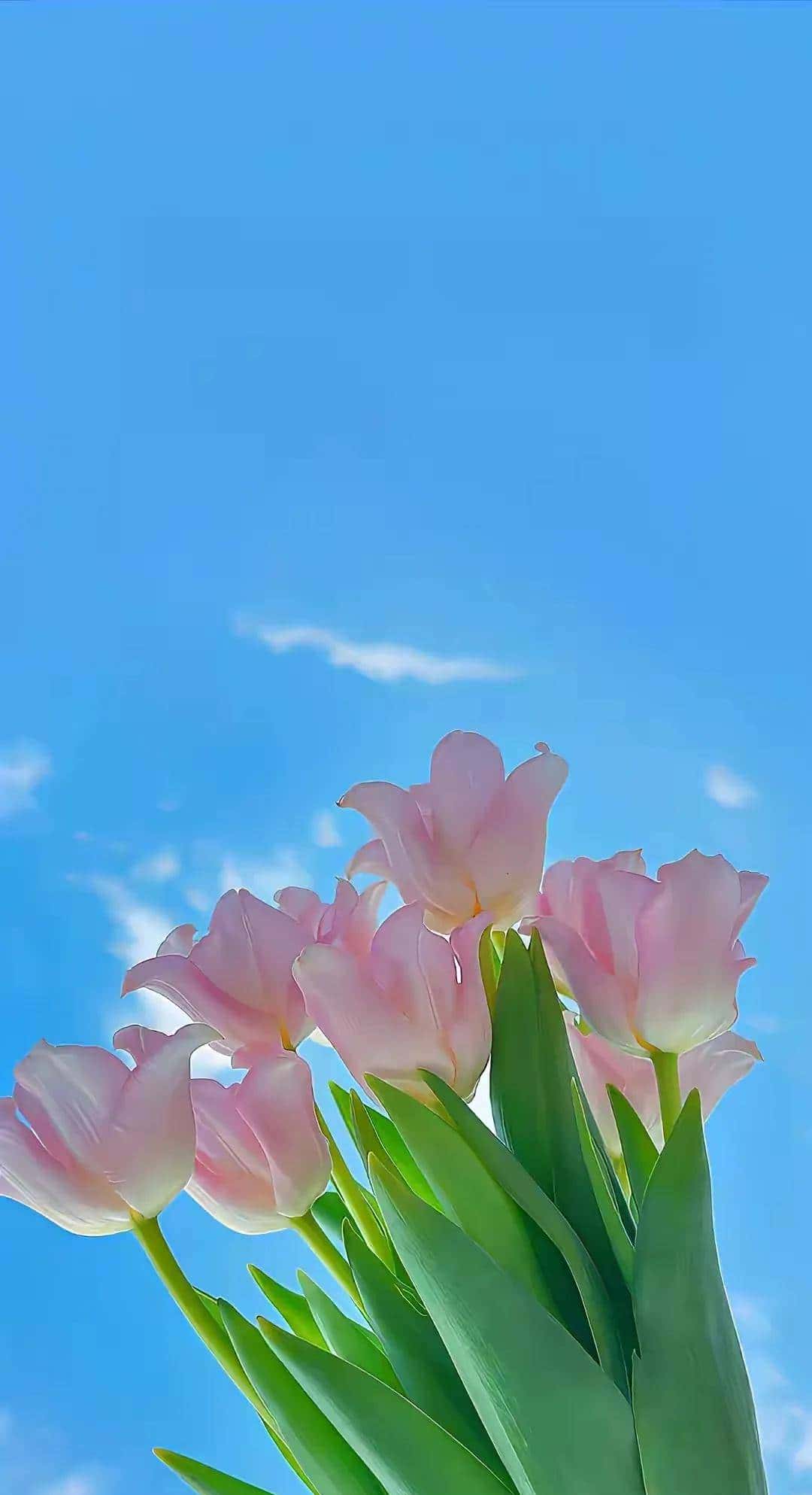 3 Aug 英语每日一句