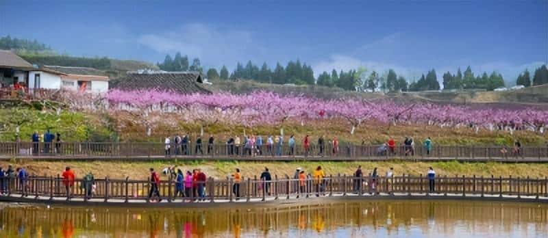 为南充打call！2023四川最受网民喜爱的网红打卡地开始投票啦