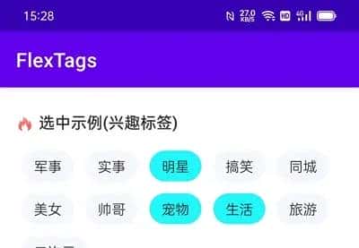 Android标签(标签云/热门标签/兴趣标签/热门搜索词)控件