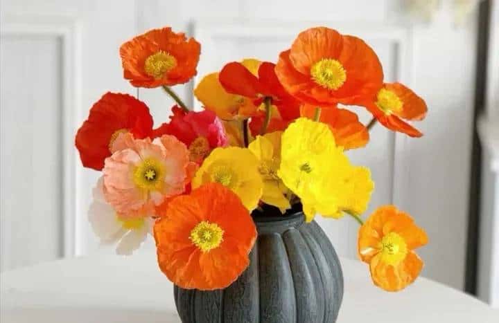 学习使用希沃白板