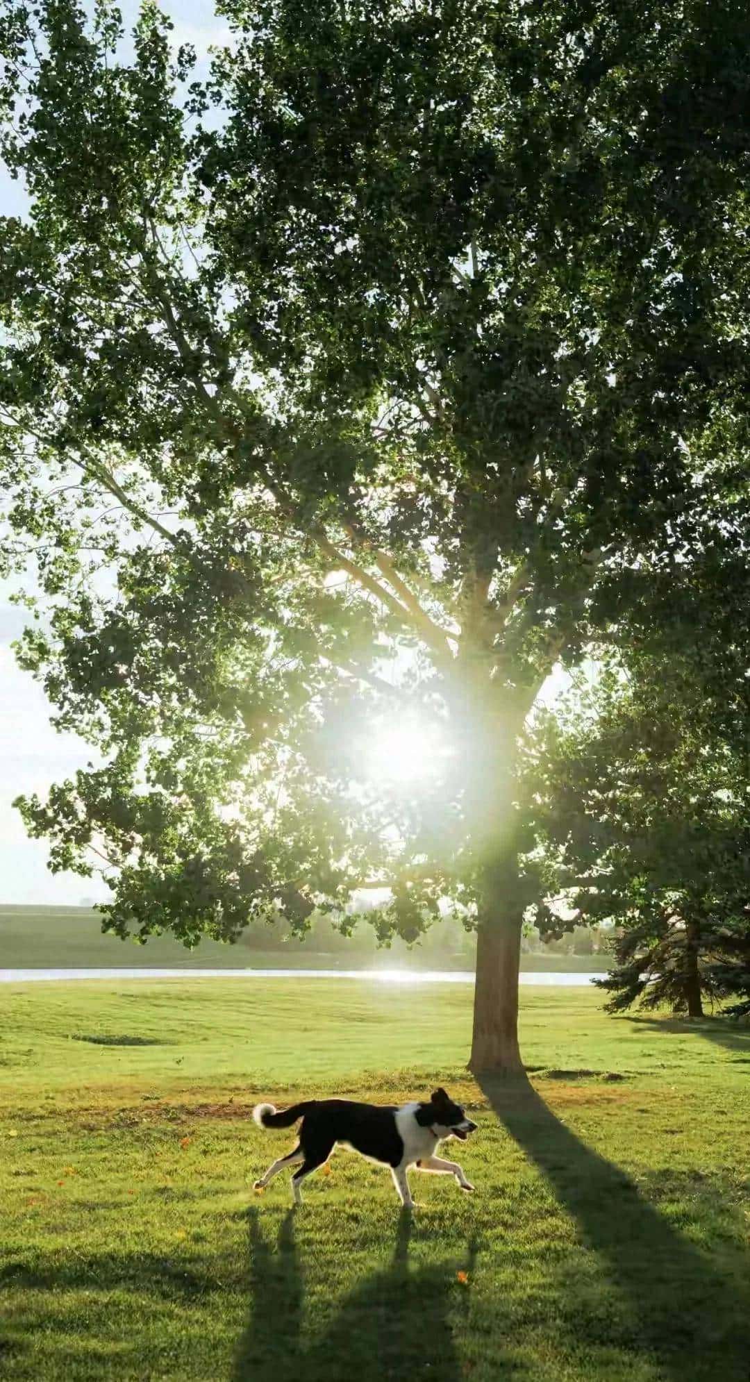 3 Aug 英语每日一句